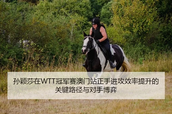 孙颖莎在WTT冠军赛澳门站正手进攻效率提升的关键路径与对手博弈